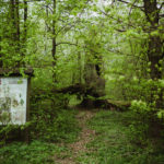 małecz_karolina piotrowska41