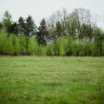 małecz_karolina piotrowska63